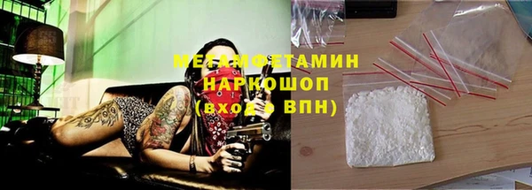 прущие грибы Коряжма