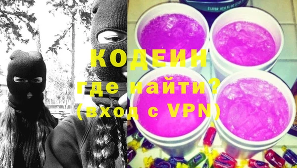 apvp Кодинск