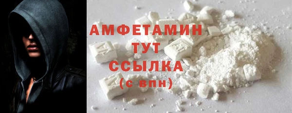 сатива Кинешма