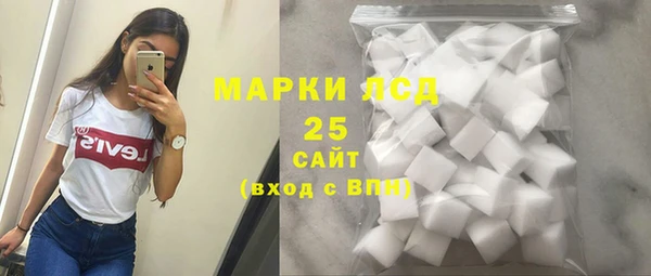прущие грибы Коряжма