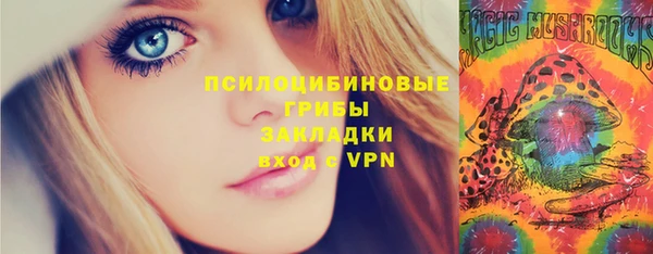 прущие грибы Коряжма