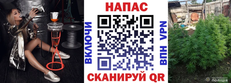 Конопля конопля Кудымкар